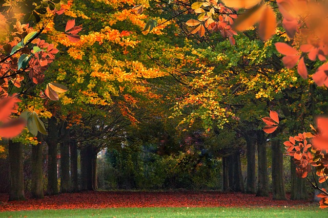 조용한 위치에서 휴식을 즐기는 방법을 알아보세요.