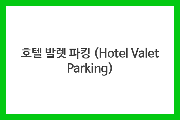 호텔 발렛 파킹 (Hotel Valet Parking)