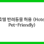 호텔 반려동물 허용 (Hotel Pet-Friendly)