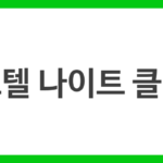 호텔 나이트 클럽