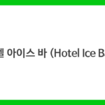 호텔 아이스 바 (Hotel Ice Bar)