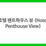호텔 펜트하우스 뷰 (Hotel Penthouse View)