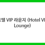 호텔 VIP 라운지 (Hotel VIP Lounge)