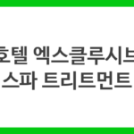 호텔 엑스클루시브 스파 트리트먼트
