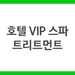 호텔 VIP 스파 트리트먼트