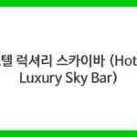 호텔 럭셔리 스카이바 (Hotel Luxury Sky Bar)