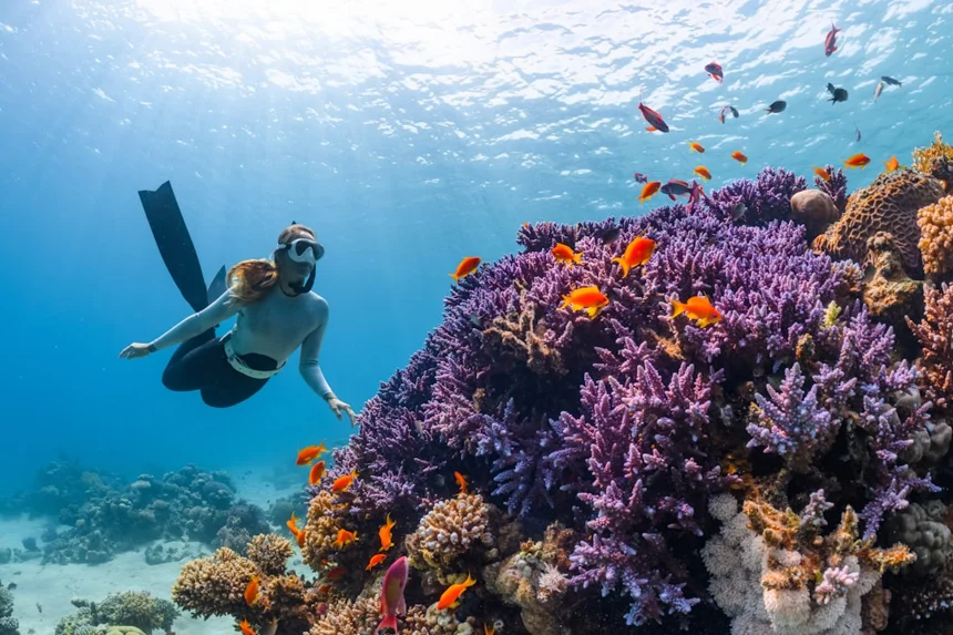 Diving