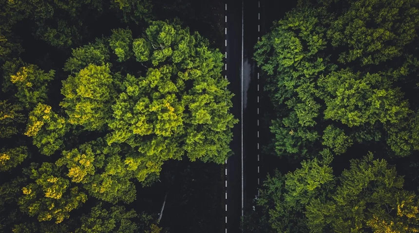 Sustainability