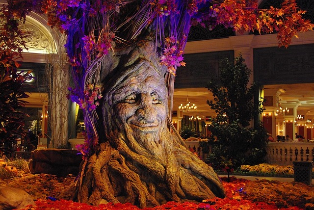 도시 야경이 보이는 호텔 객실 사진