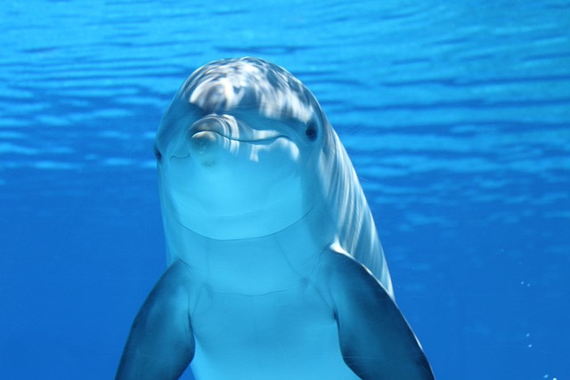 호텔 주변 해변 산책로의 모습