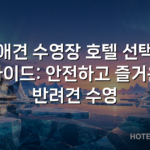 애견 수영장 호텔 선택 가이드: 안전하고 즐거운 반려견 수영
