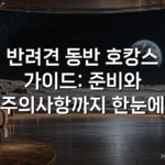 반려견 동반 호캉스 가이드: 준비와 주의사항까지 한눈에 반려견 동반 호캉스 가이드: 준비와 주의사항까지 한눈에